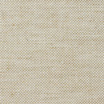 Rough Beige Fabric